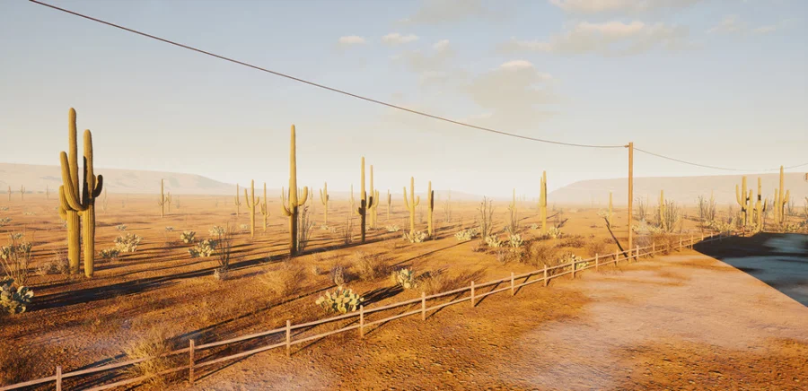 Desert OOD simulation environment