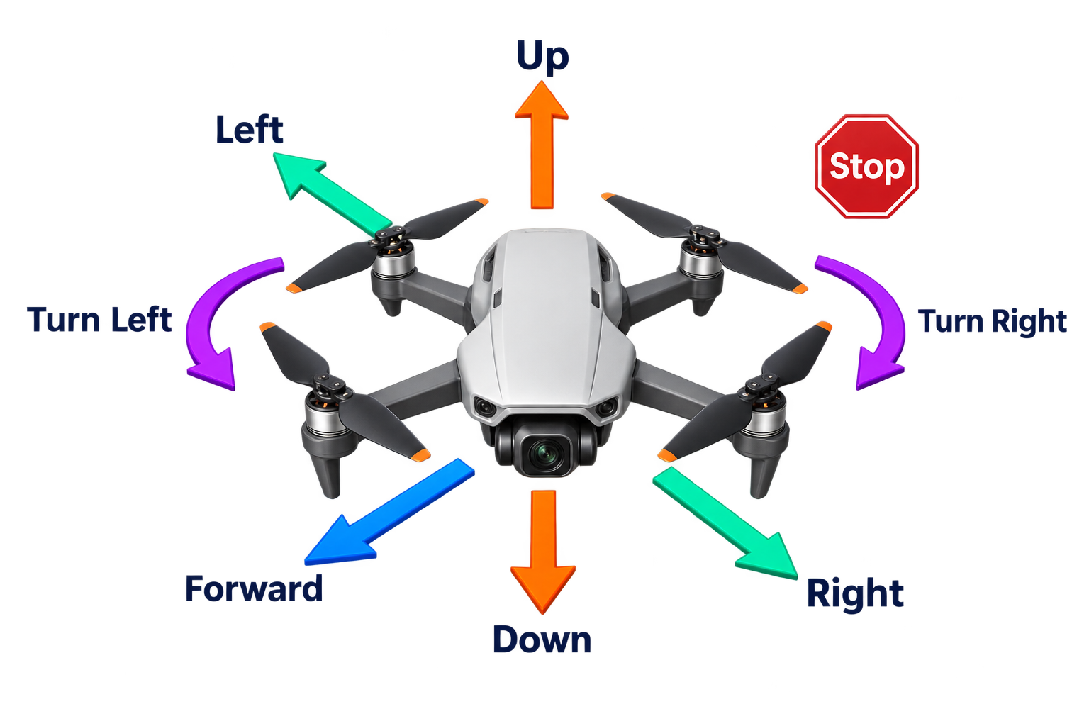 Eight action types for four degrees of freedom